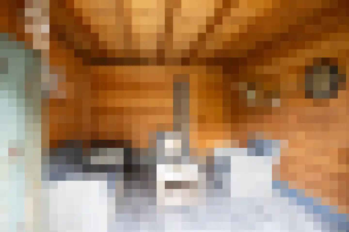 Petri Markensteinstraat 1 Leusden thumbnail 31