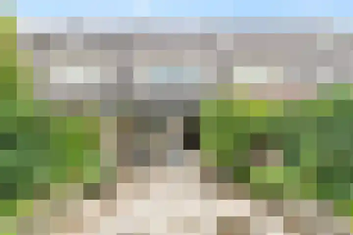 Petri Markensteinstraat 19 Leusden thumbnail 27