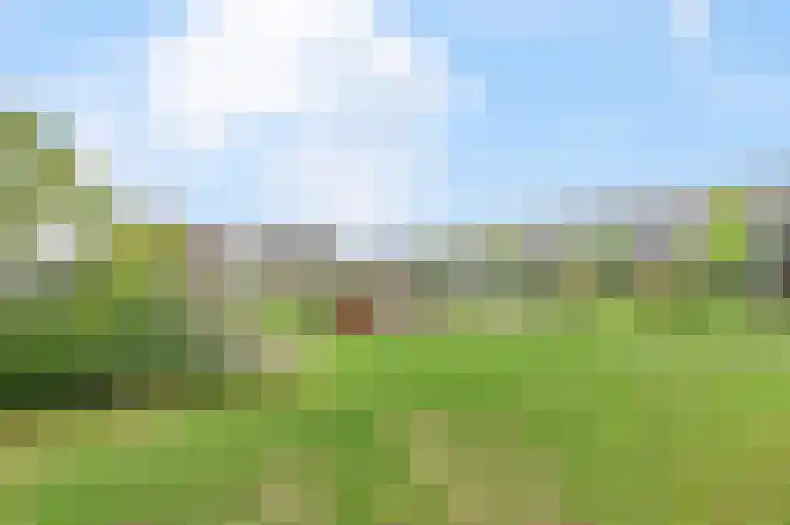 Petri Markensteinstraat 19 Leusden thumbnail 28