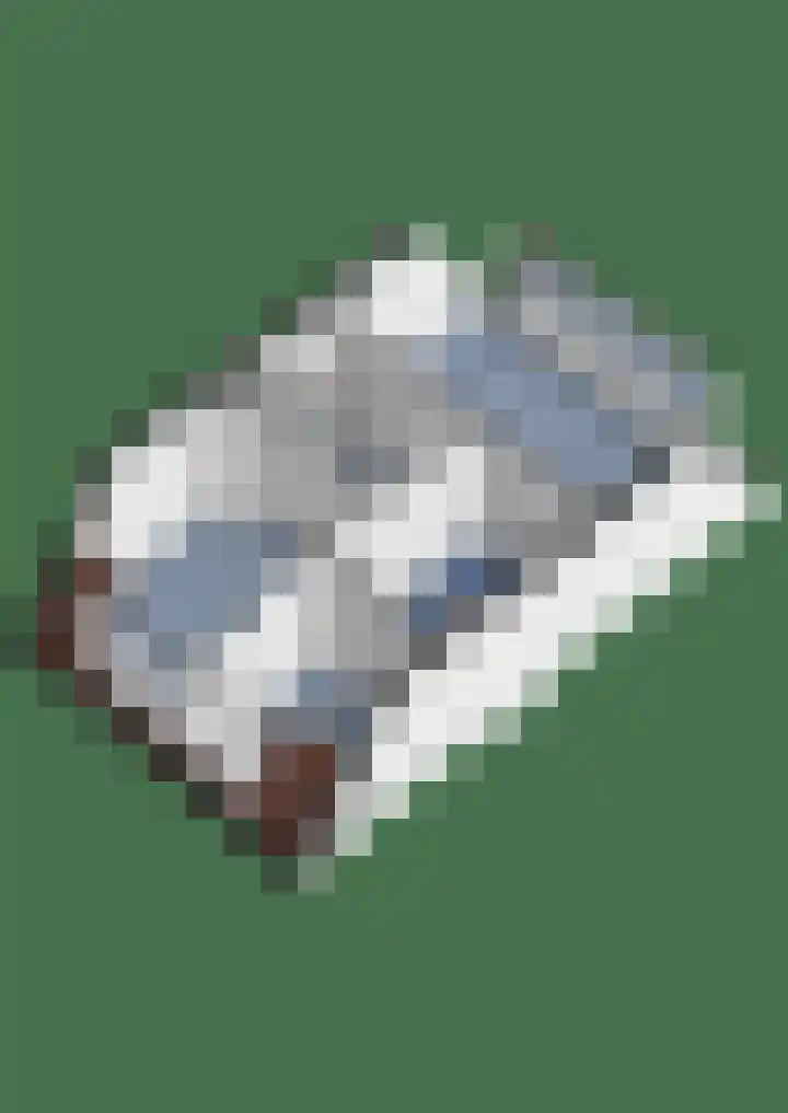 Petri Markensteinstraat 19 Leusden thumbnail 38