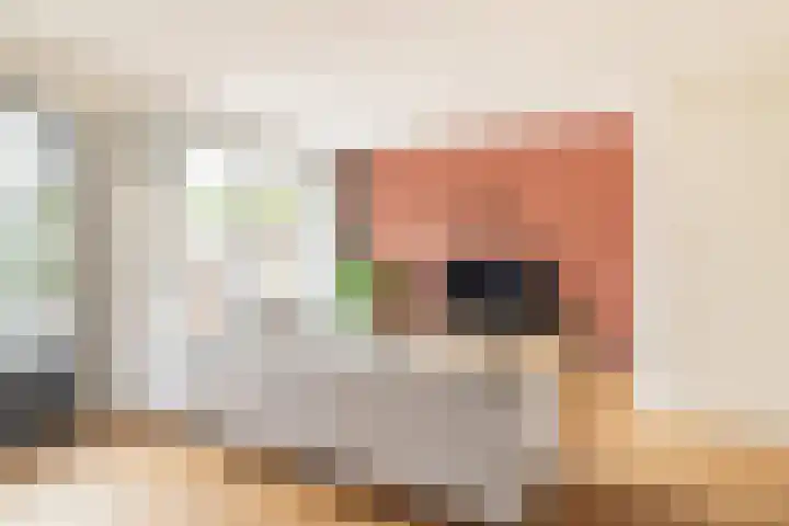 Petri Markensteinstraat 19 Leusden thumbnail 7