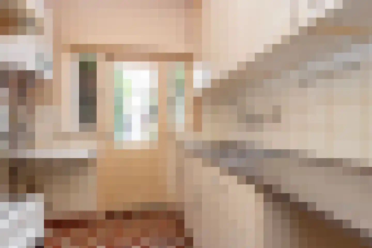 Petristraat 11 Utrecht thumbnail 10