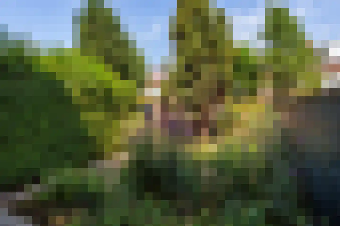 Petristraat 11 Utrecht thumbnail 13