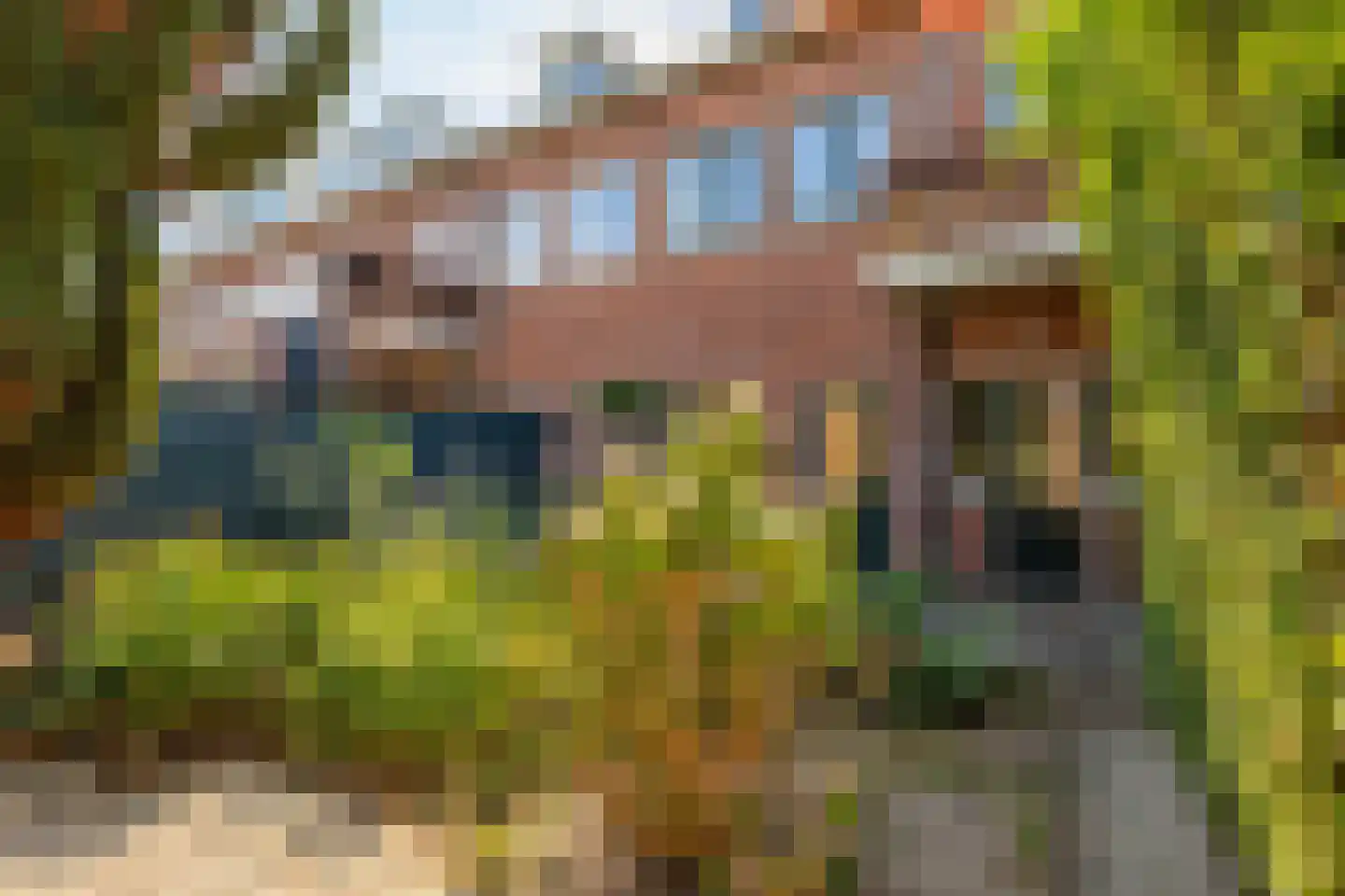 Petristraat 11 Utrecht thumbnail 15