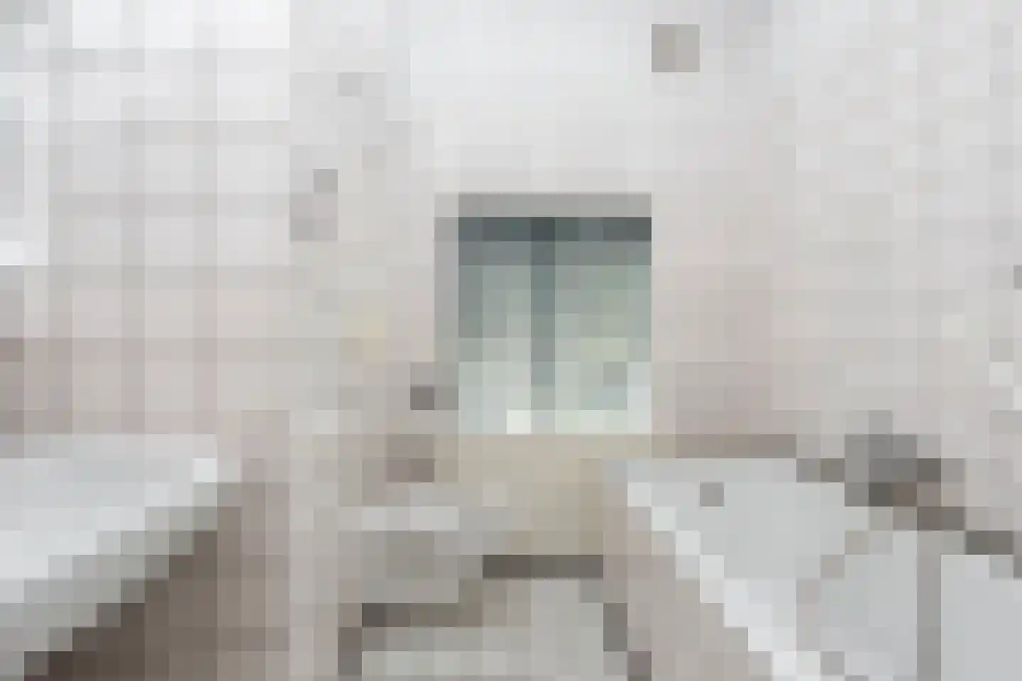 Petristraat 11 Utrecht thumbnail 19