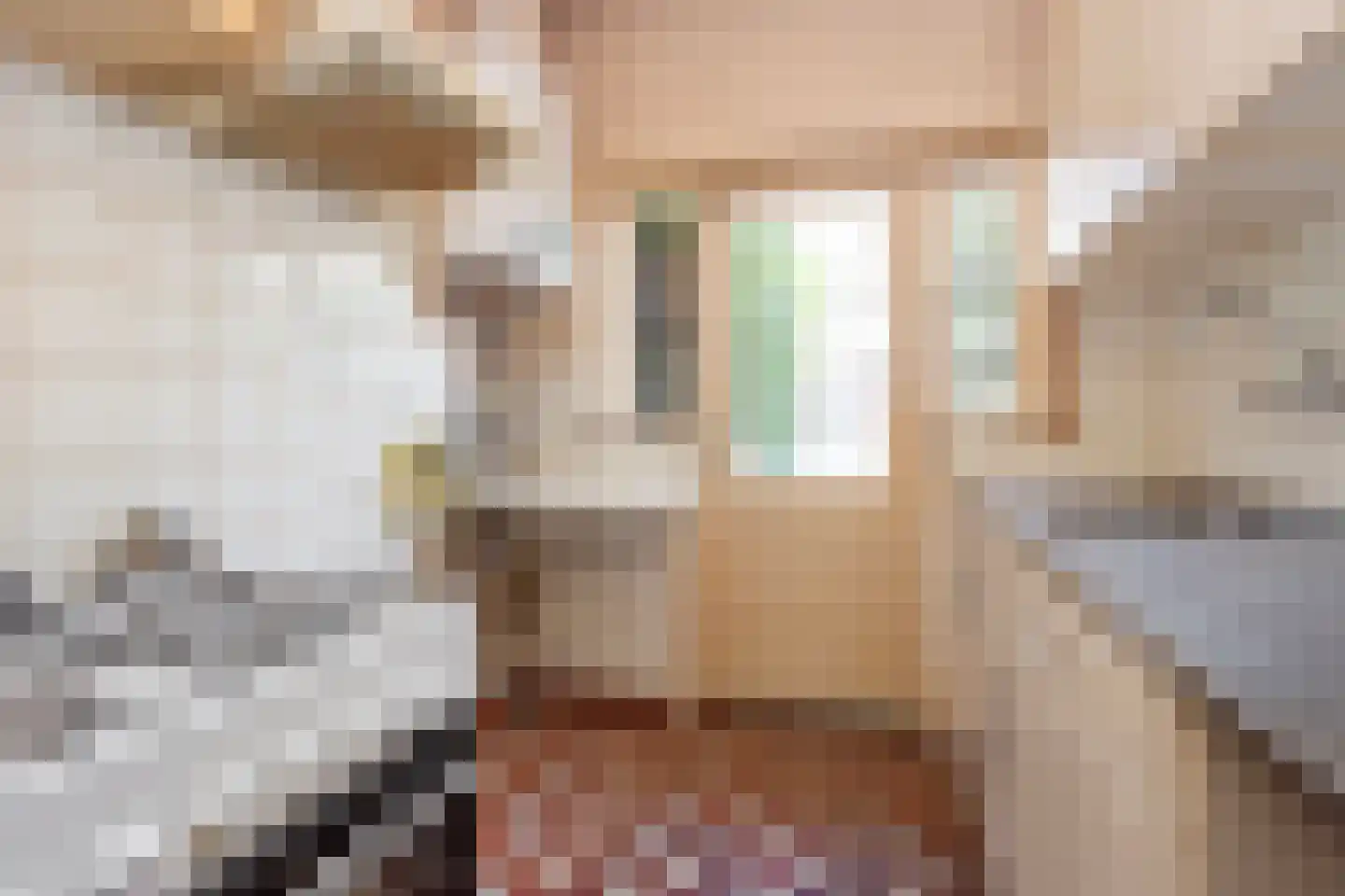 Petristraat 11 Utrecht thumbnail 9