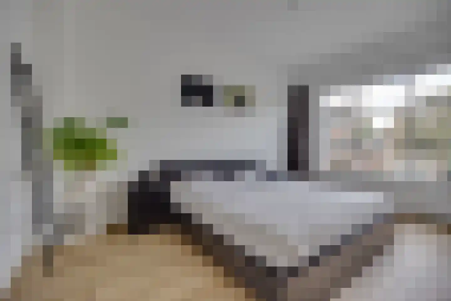 Petristraat 3 Utrecht thumbnail 25