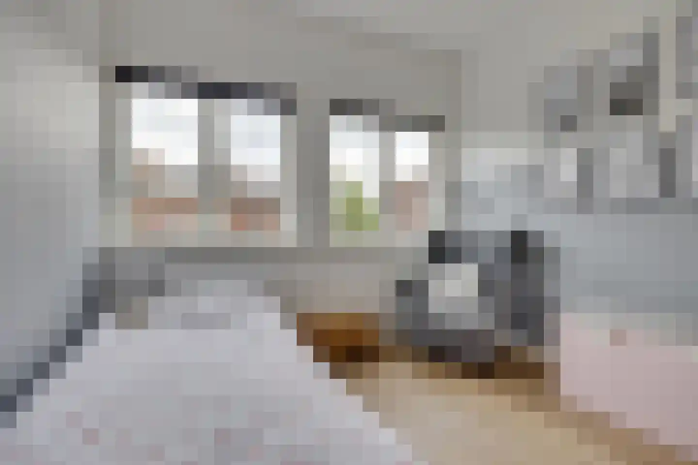Petristraat 3 Utrecht thumbnail 29