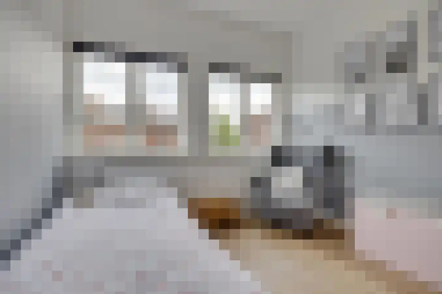 Petristraat 3 Utrecht thumbnail 29