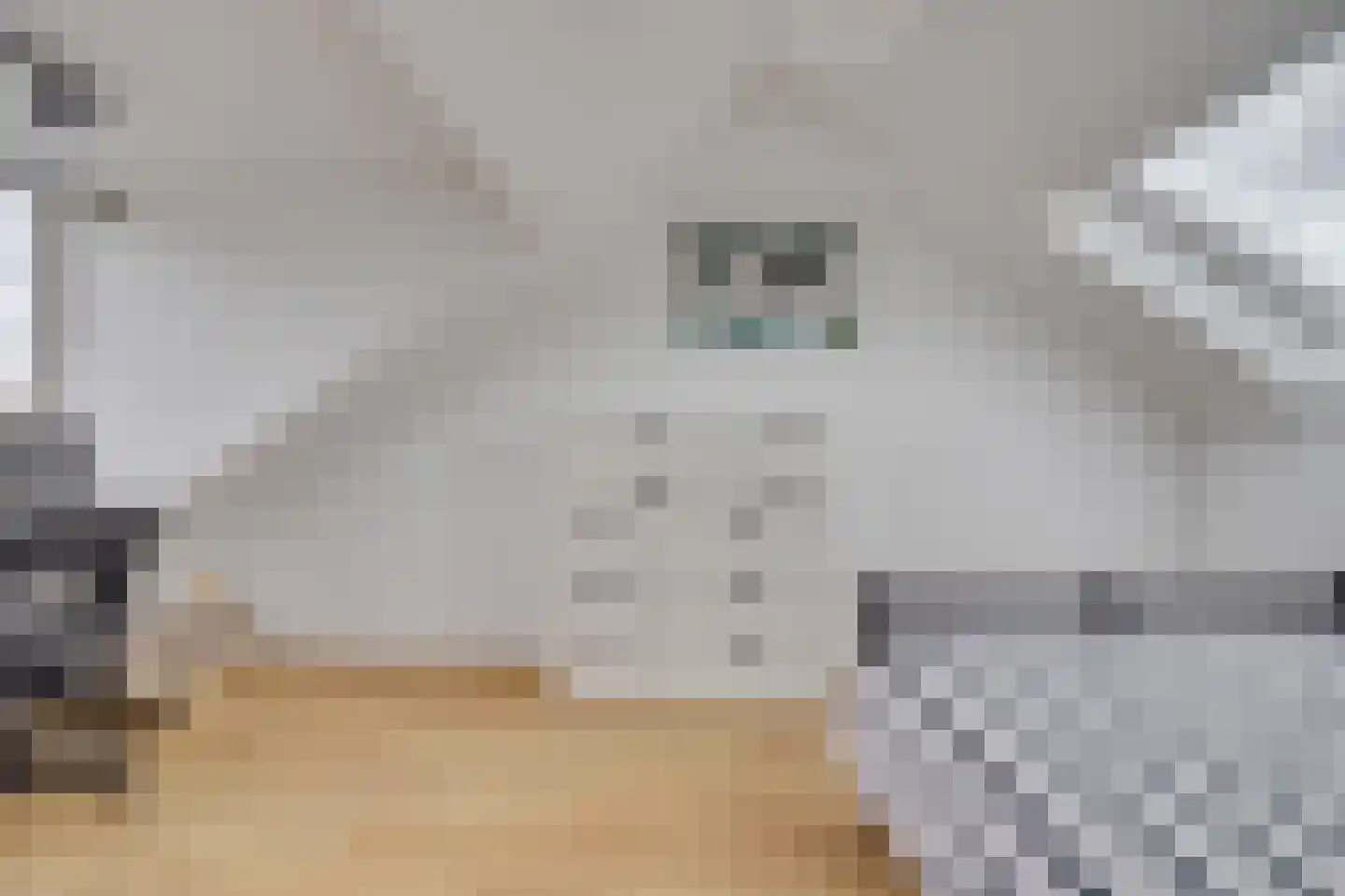 Petristraat 3 Utrecht thumbnail 32