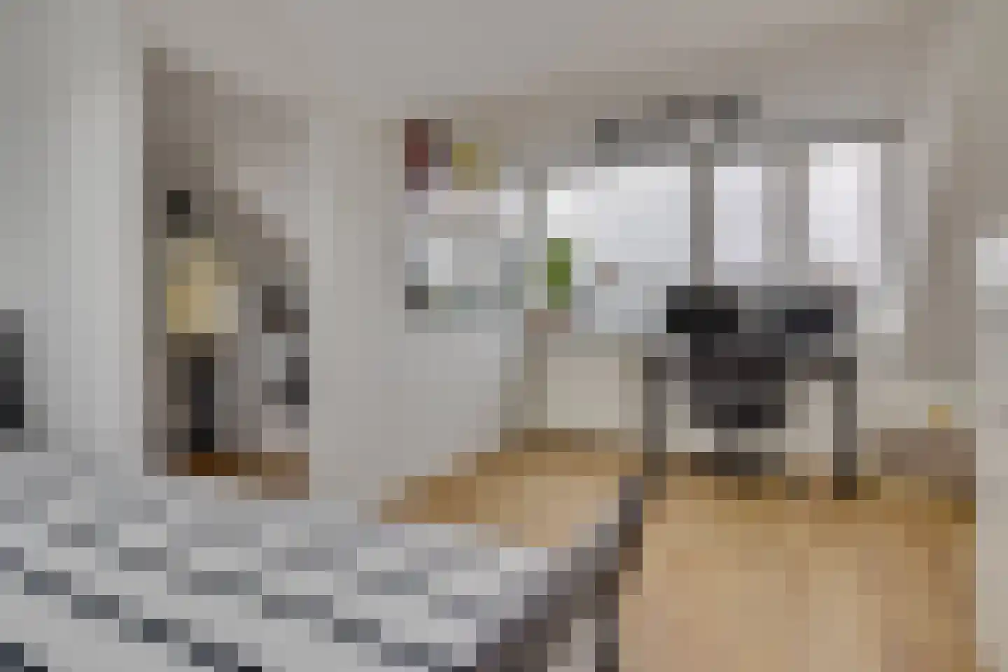 Petristraat 3 Utrecht thumbnail 34