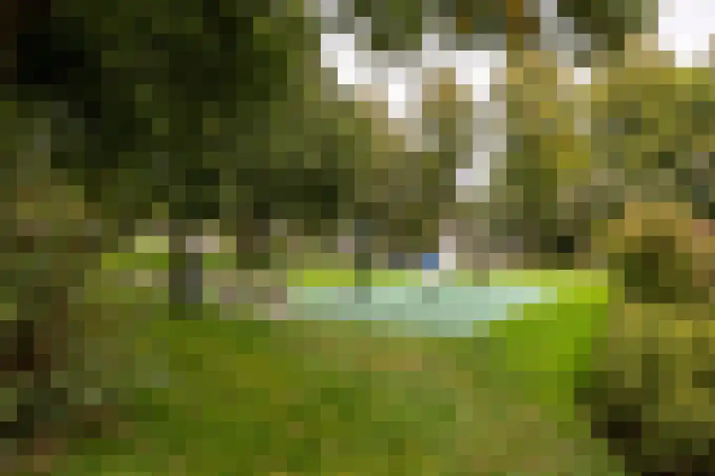 Petristraat 3 Utrecht thumbnail 39