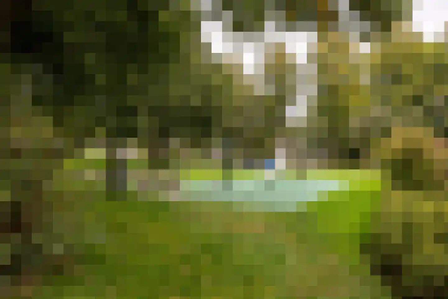 Petristraat 3 Utrecht thumbnail 39