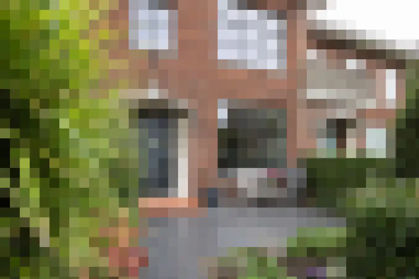 Petristraat 3 Utrecht thumbnail 4