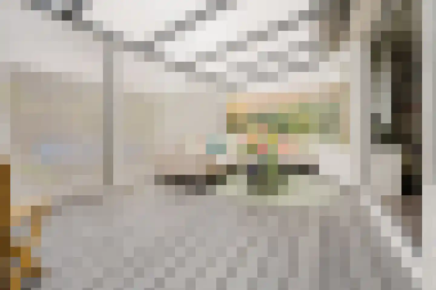 Petronella Brugsmastraat 67 Spijkenisse thumbnail 10