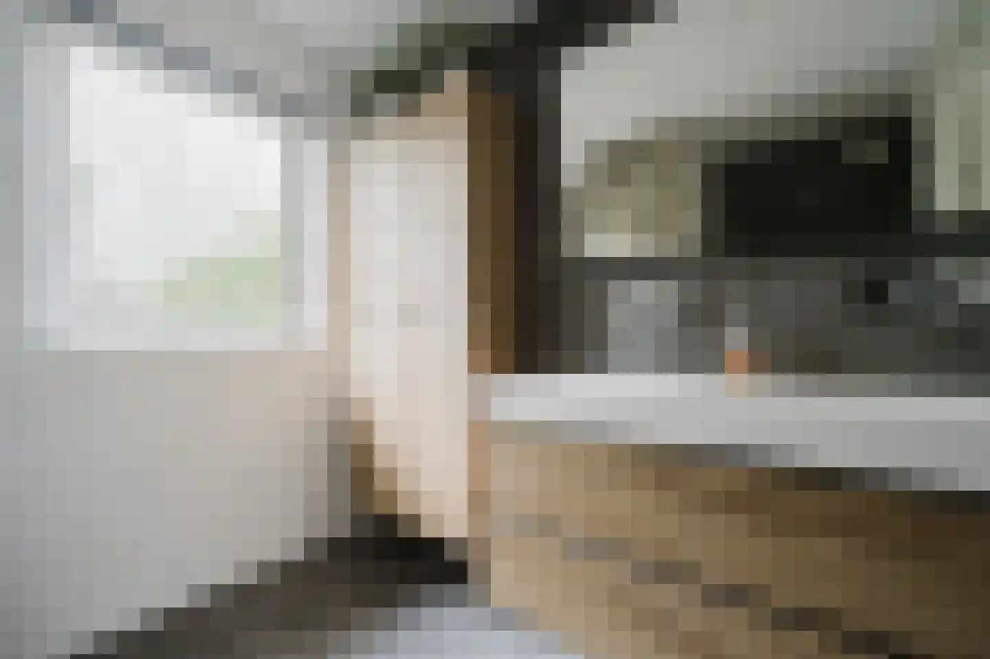 Petronella Brugsmastraat 67 Spijkenisse thumbnail 23