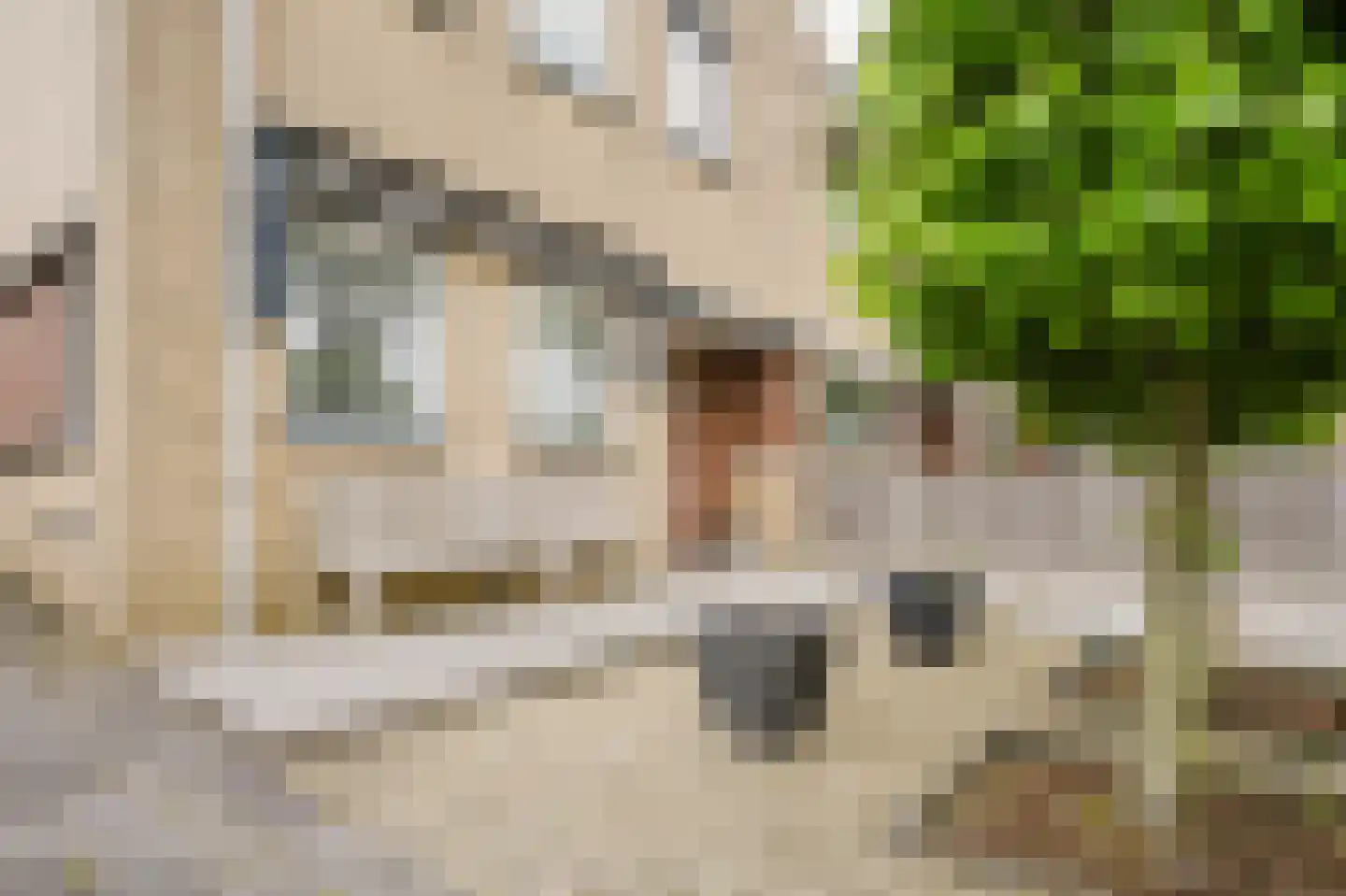 Petronella Brugsmastraat 67 Spijkenisse thumbnail 4