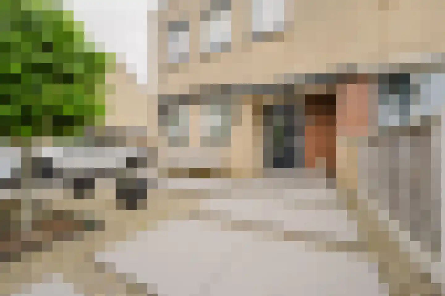 Petronella Brugsmastraat 67 Spijkenisse thumbnail 5
