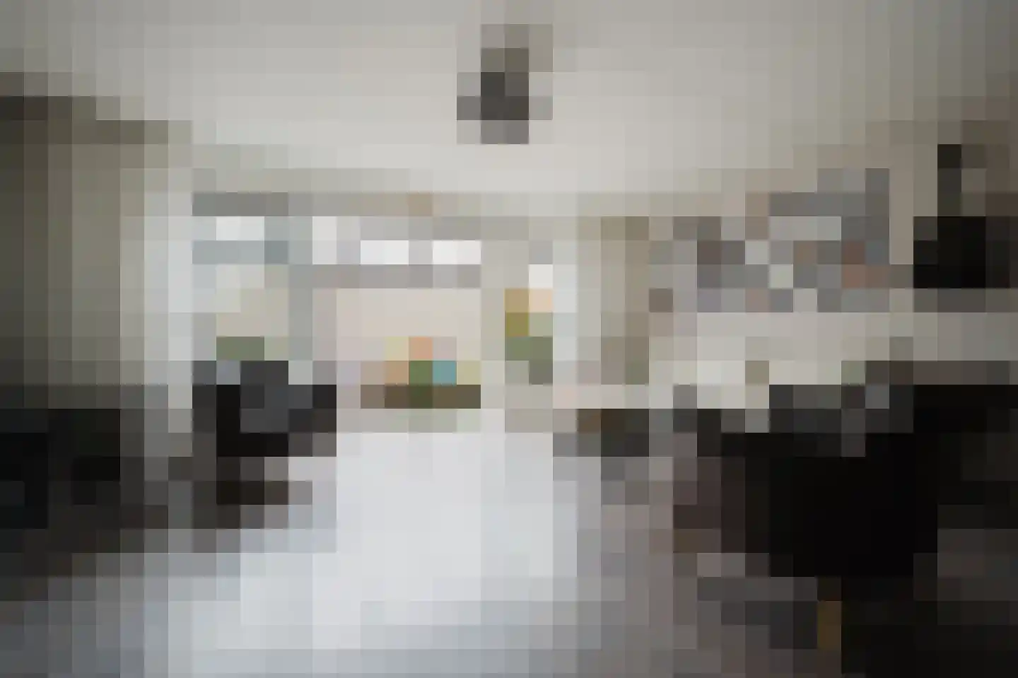 Petronella Brugsmastraat 67 Spijkenisse thumbnail 7