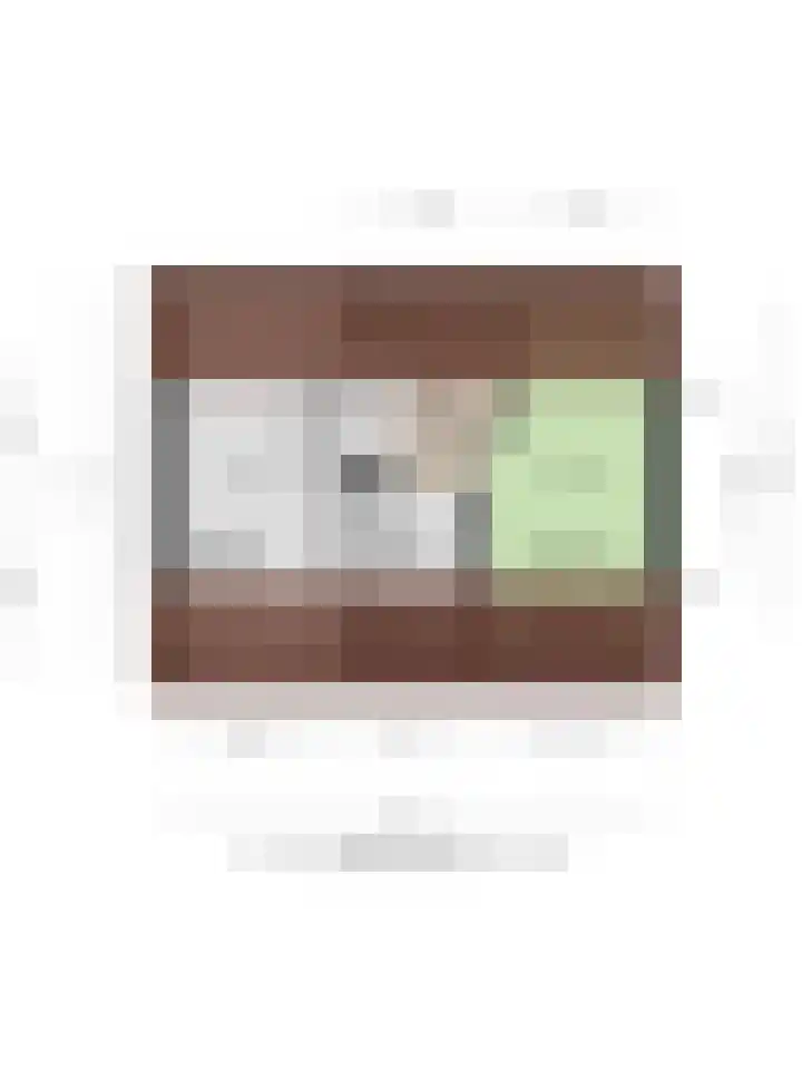 Petronella Moensstraat 14 Breda thumbnail 57