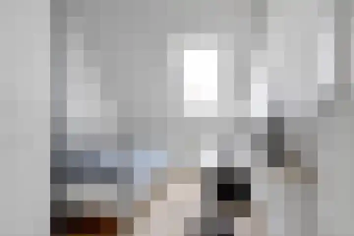 Petronella Moensstraat 15 Zaandam thumbnail 29
