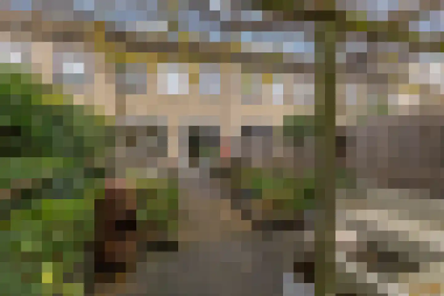 Petronella Moensstraat 8 Zaandam thumbnail 36