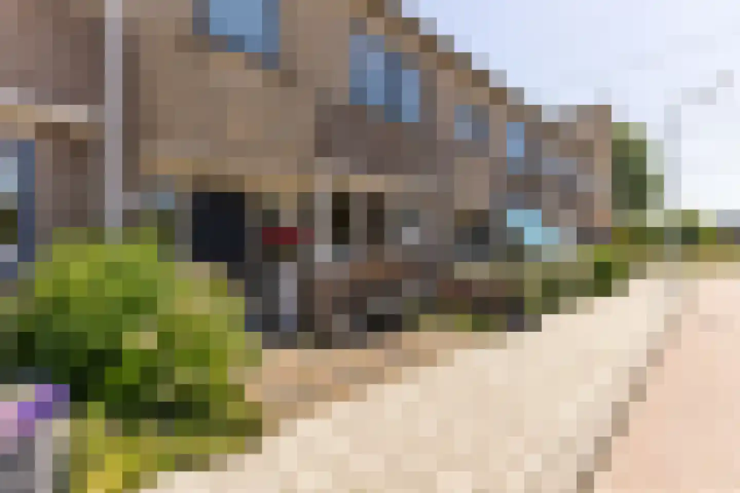 Petronella Moensstraat 8 Zaandam thumbnail 40