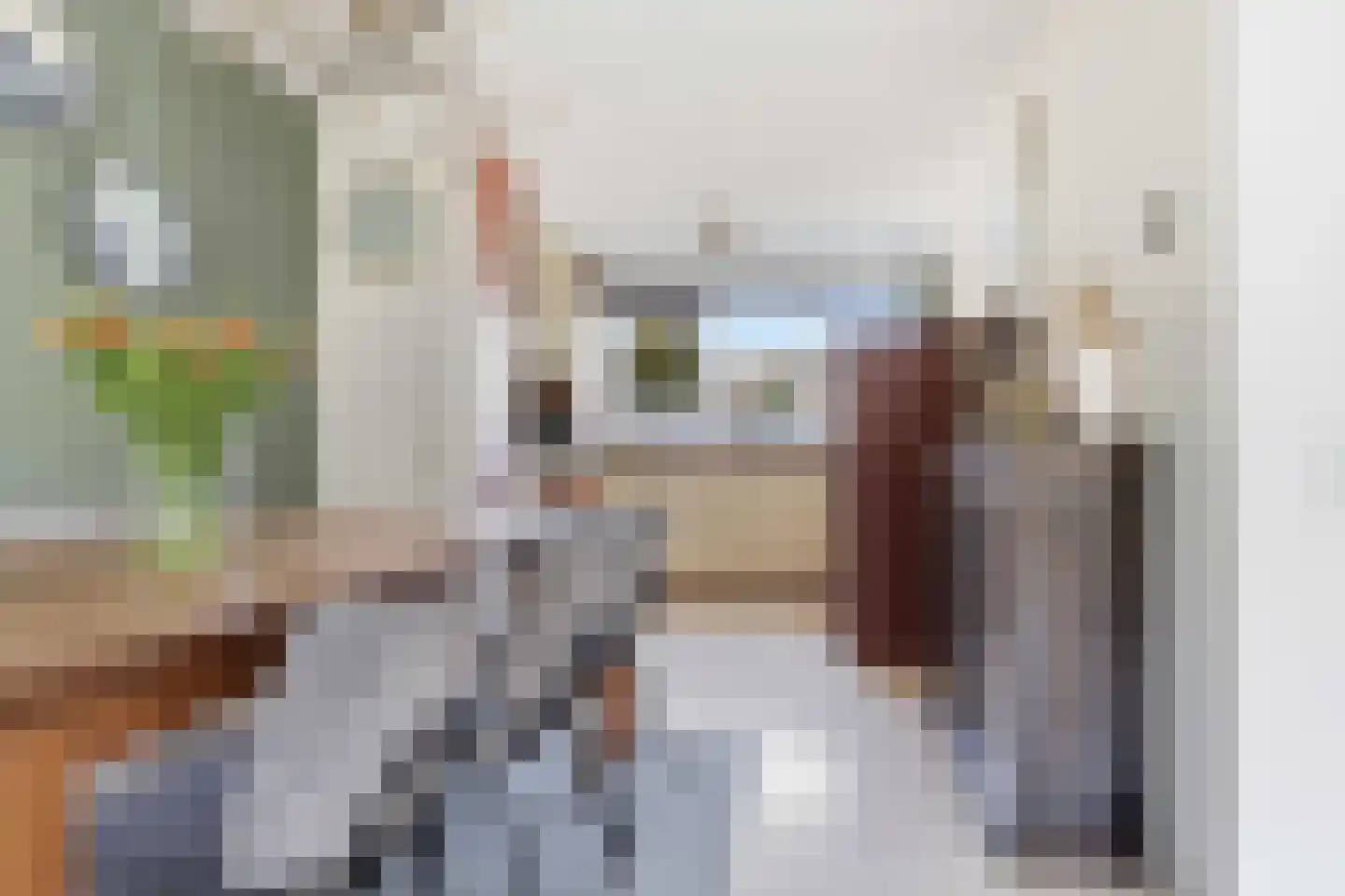 Petronella Moensstraat 8 Zaandam thumbnail 8