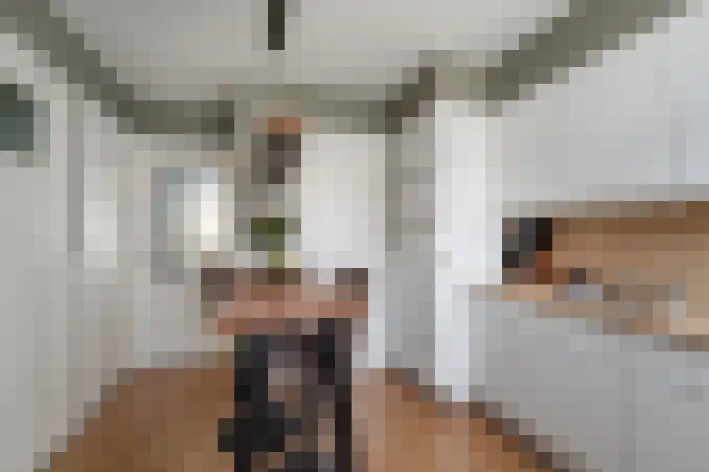 Petronella van Saxenstraat 17 Rijnsburg thumbnail 8
