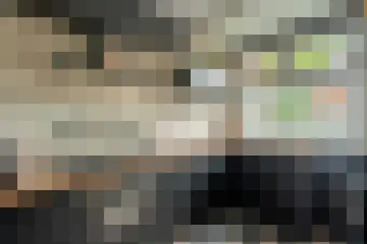 Petronella van Saxenstraat 23 Rijnsburg thumbnail 6