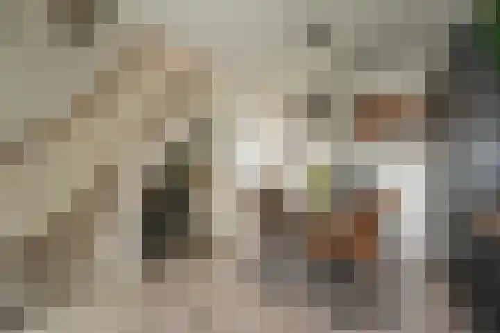Petronella van Saxenstraat 23 Rijnsburg thumbnail 8