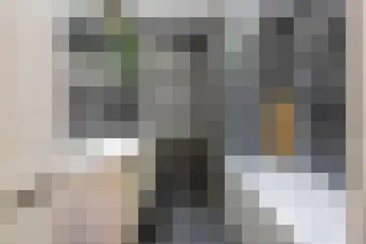 Petronella van Saxenstraat 41 Rijnsburg thumbnail 17