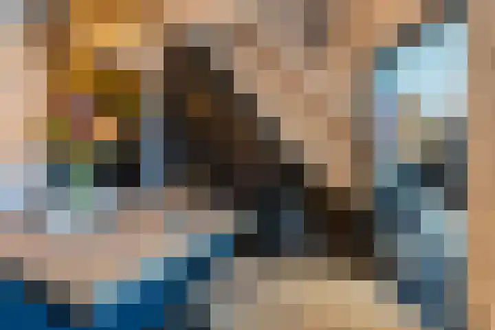 Petronella van Saxenstraat 41 Rijnsburg thumbnail 8