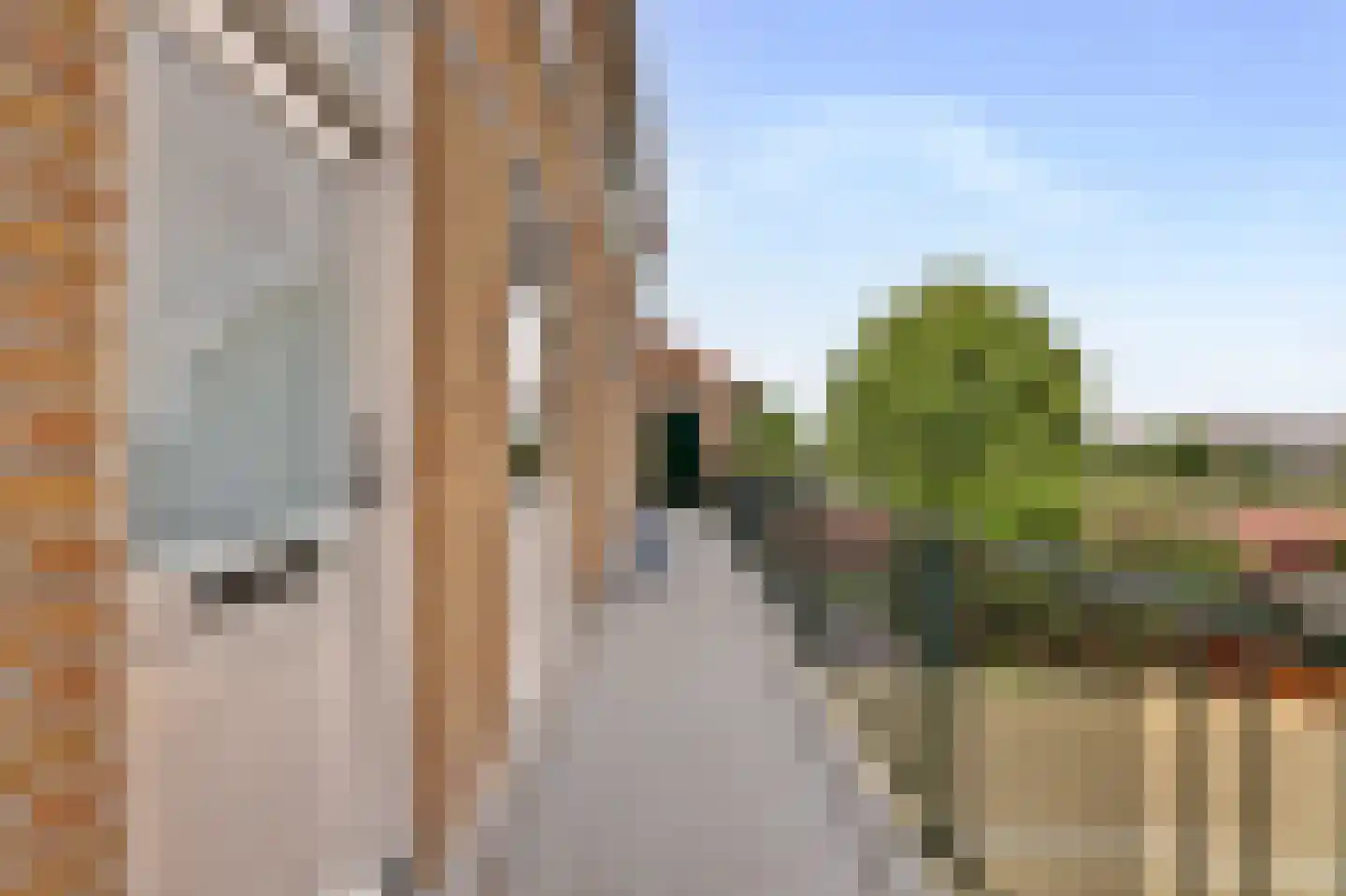 Petronella van Saxenstraat 85 Rijnsburg thumbnail 10