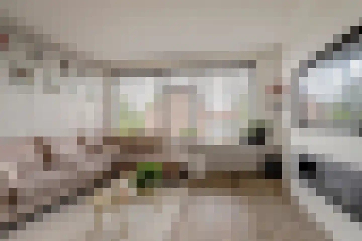 Petronella van Saxenstraat 85 Rijnsburg thumbnail 15