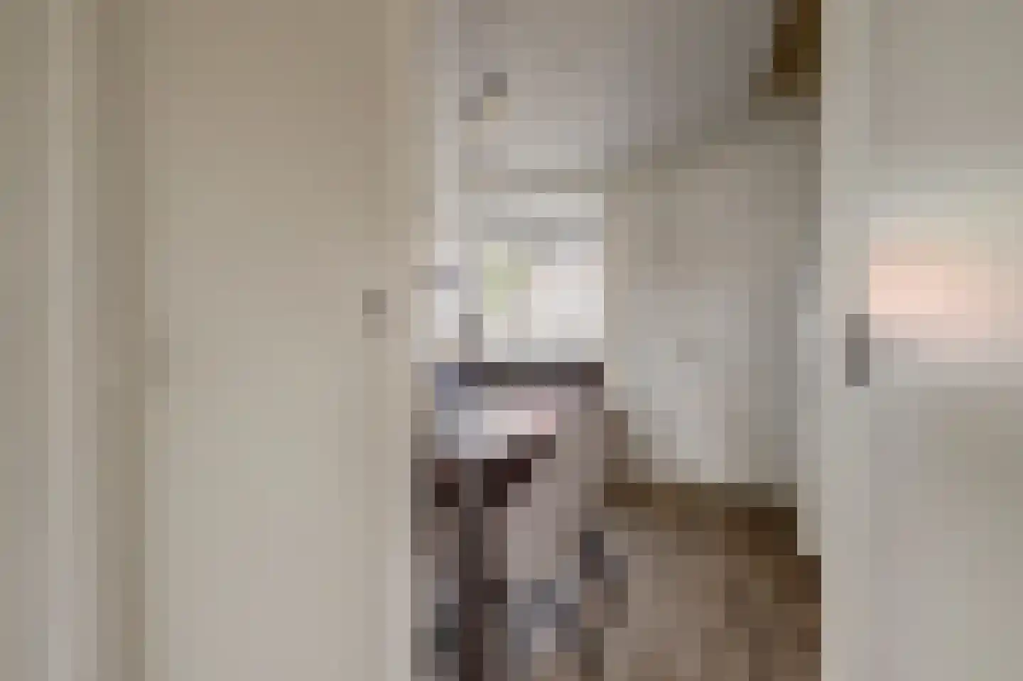 Petronella van Saxenstraat 85 Rijnsburg thumbnail 19