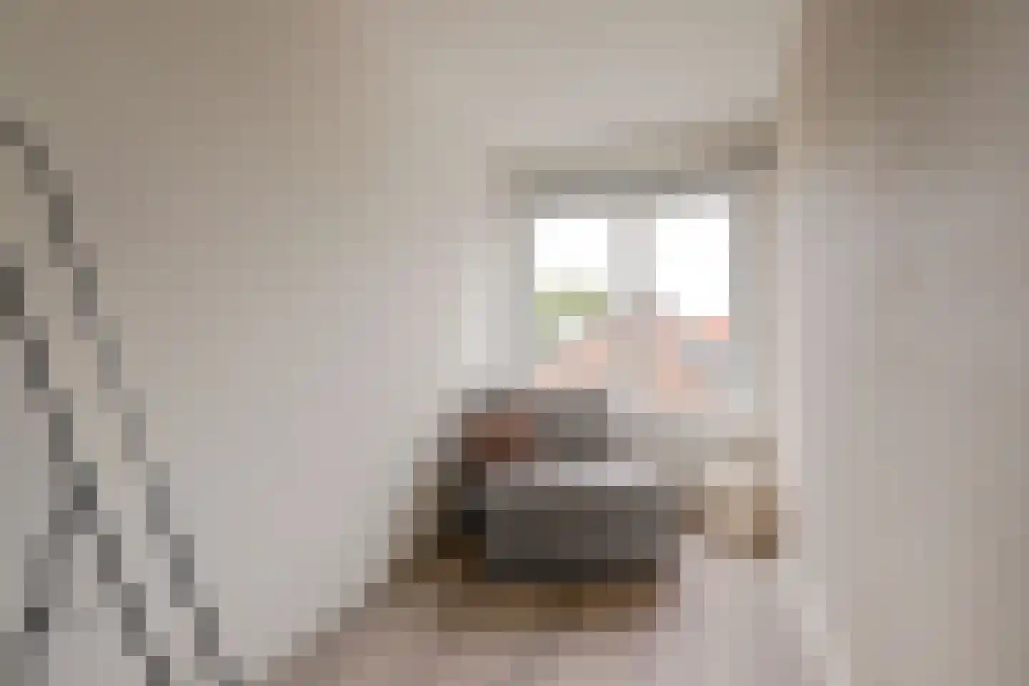 Petronella van Saxenstraat 85 Rijnsburg thumbnail 31