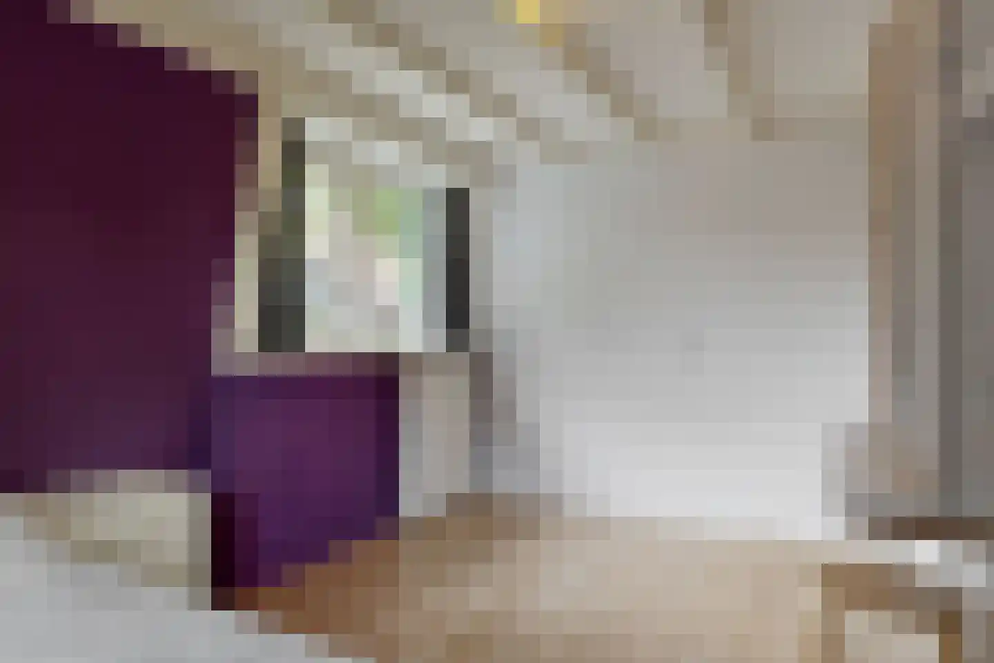 Petronellaweg 5 Renkum thumbnail 32