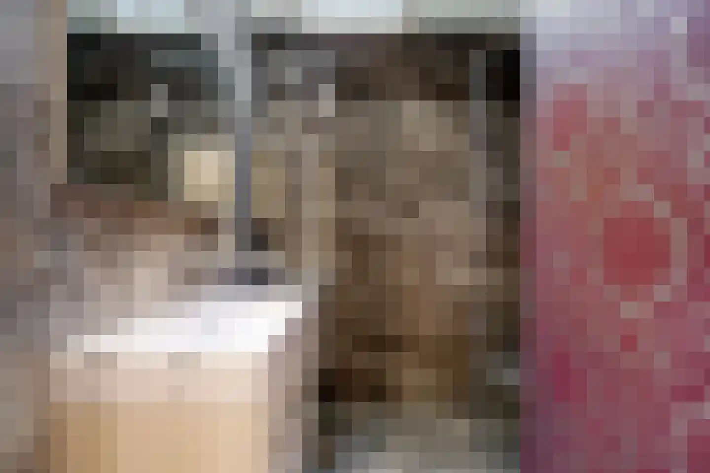 Petronellaweg 5 Renkum thumbnail 33