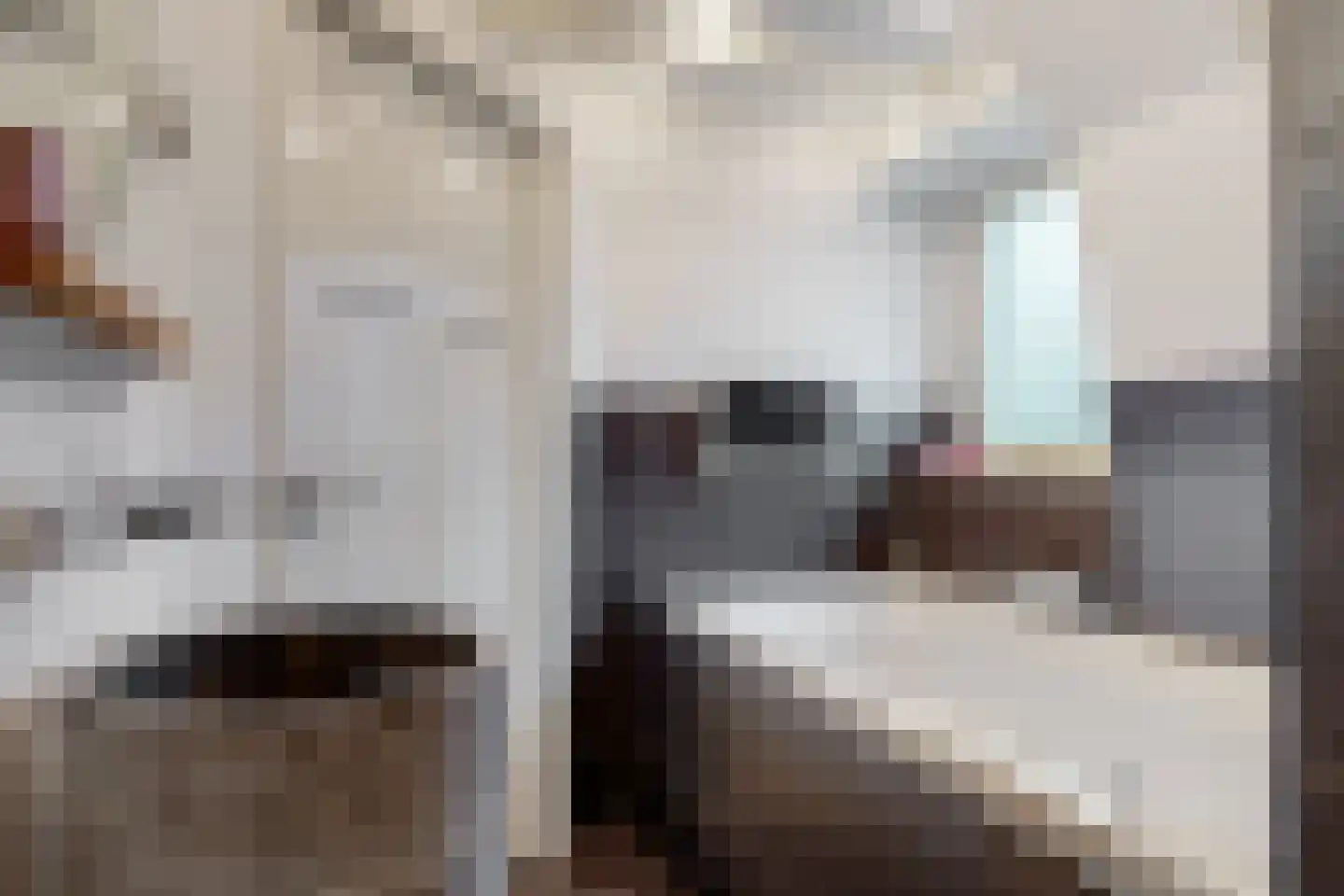 Petronellaweg 5 Renkum thumbnail 37