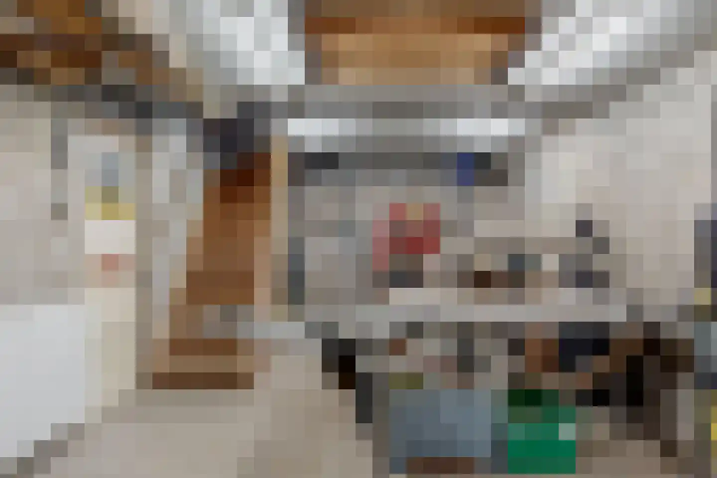 Petronellaweg 5 Renkum thumbnail 45