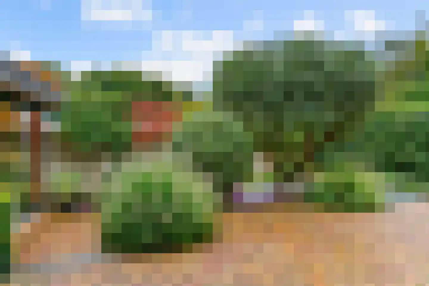 Petronellaweg 5 Renkum thumbnail 48
