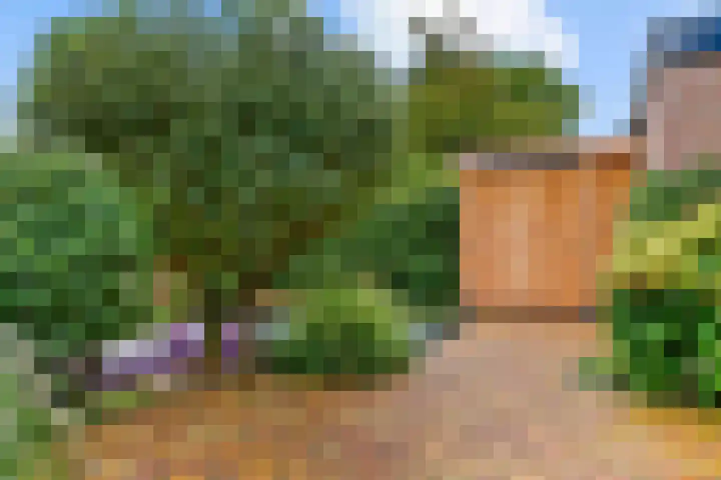 Petronellaweg 5 Renkum thumbnail 49