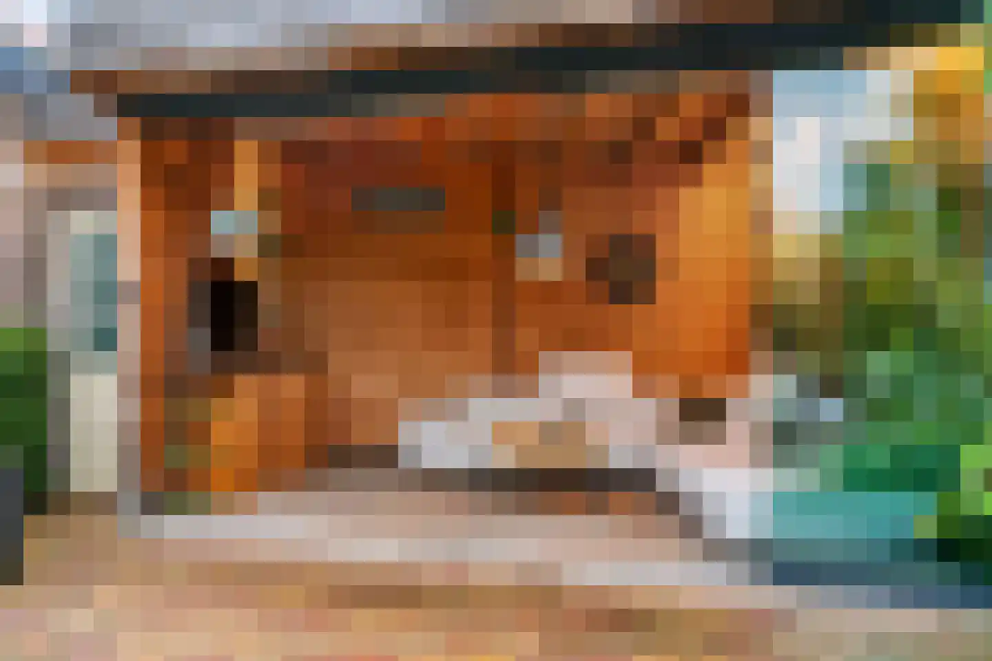 Petronellaweg 5 Renkum thumbnail 53