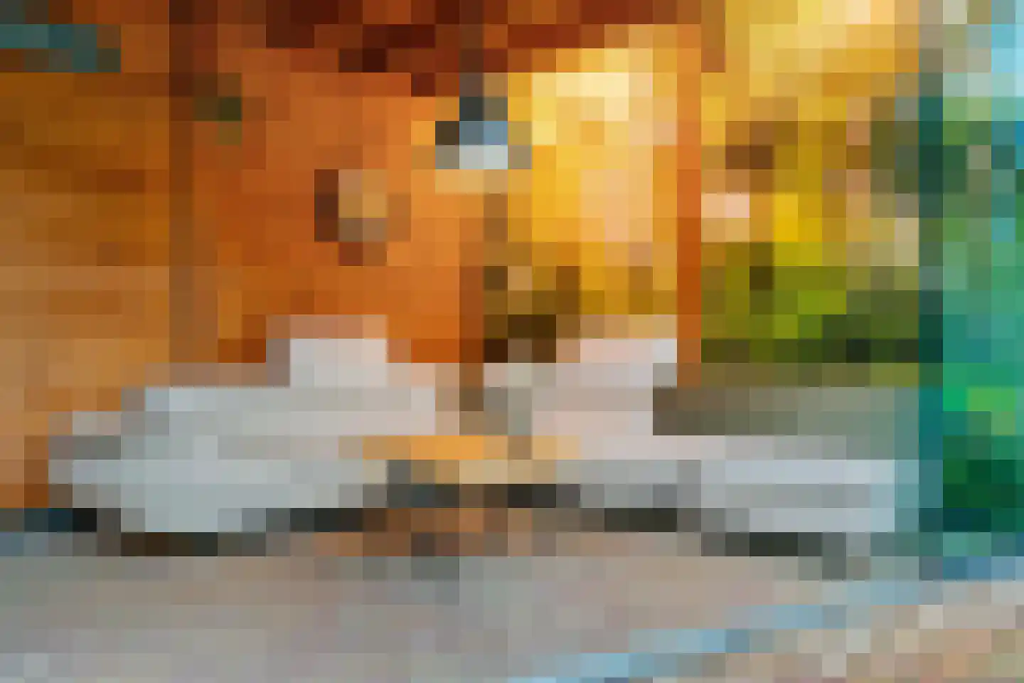 Petronellaweg 5 Renkum thumbnail 54