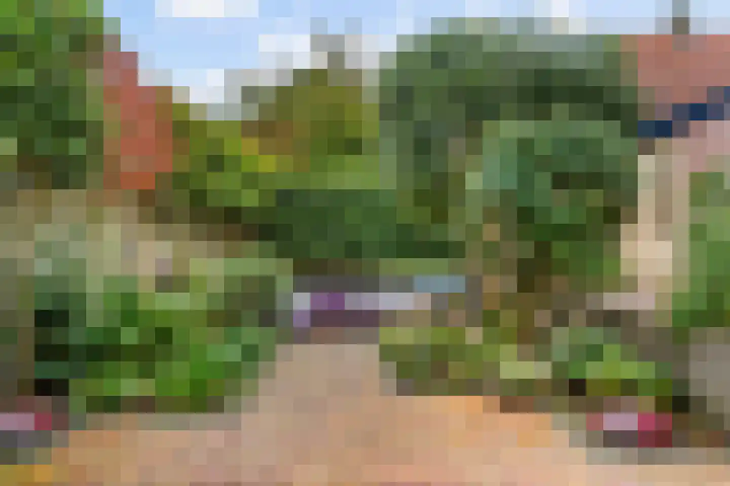 Petronellaweg 5 Renkum thumbnail 55