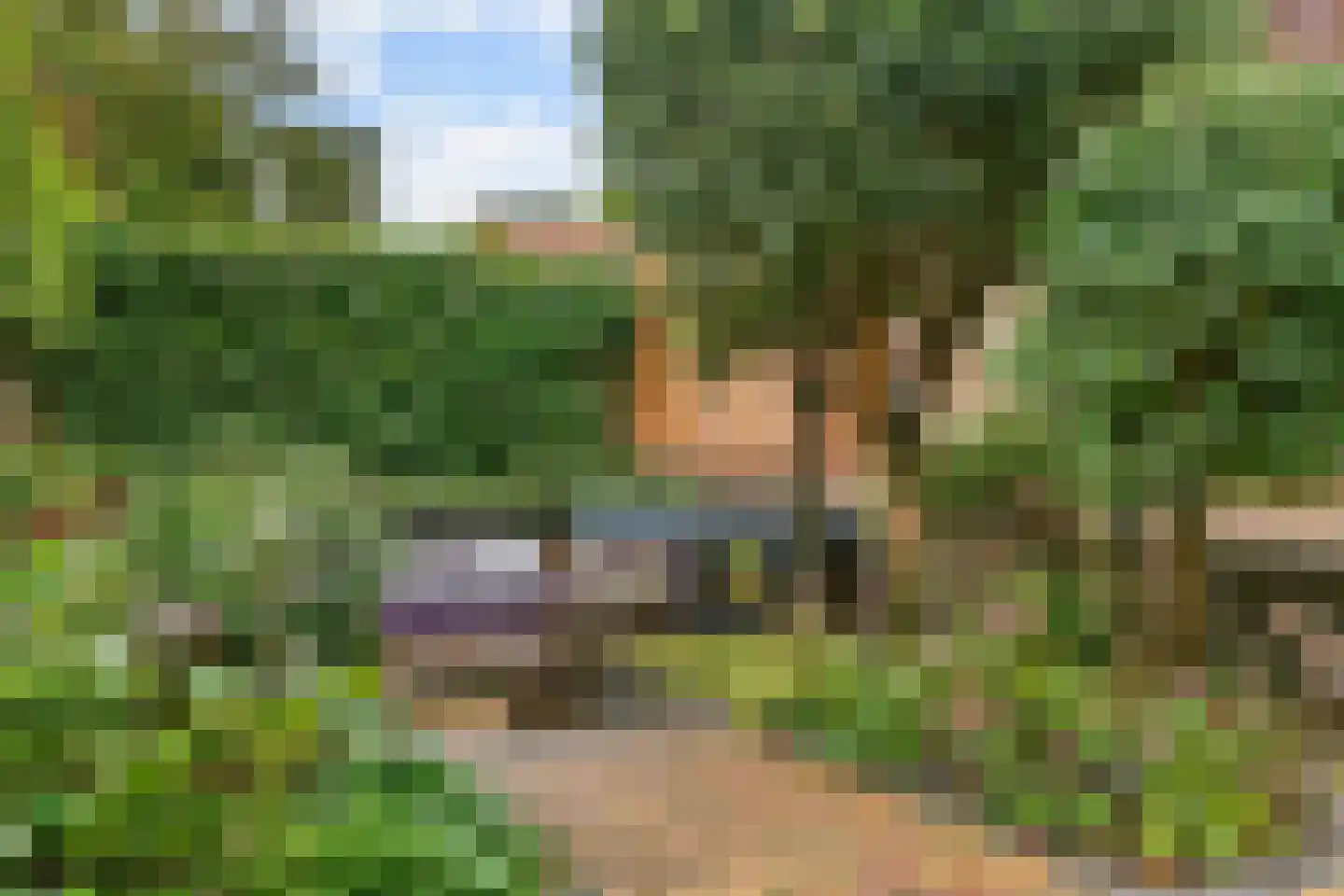 Petronellaweg 5 Renkum thumbnail 56