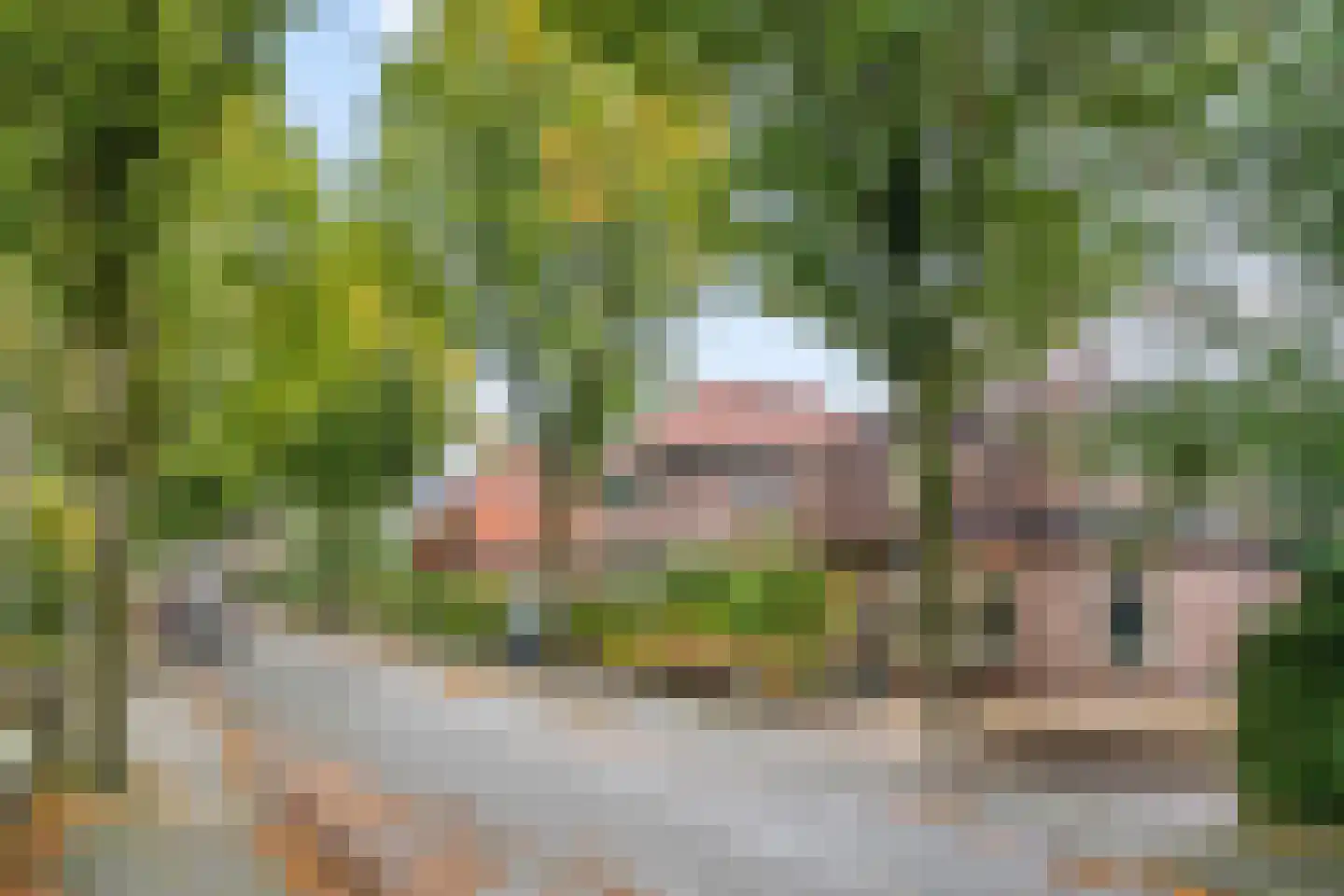 Petronellaweg 5 Renkum thumbnail 62