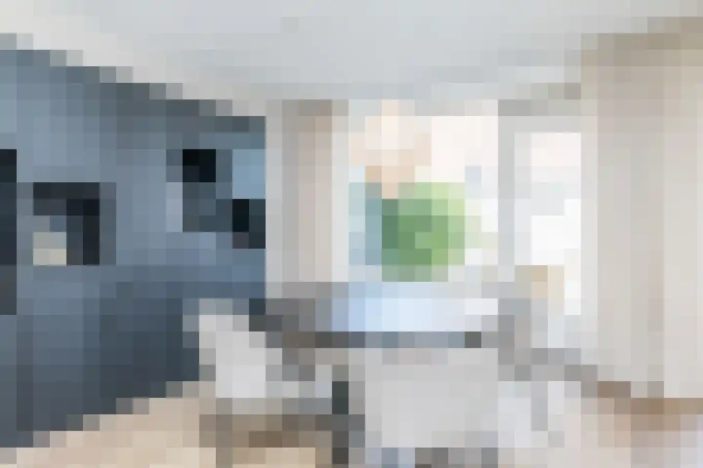 Petroniusstraat 1 Heerlen thumbnail 10