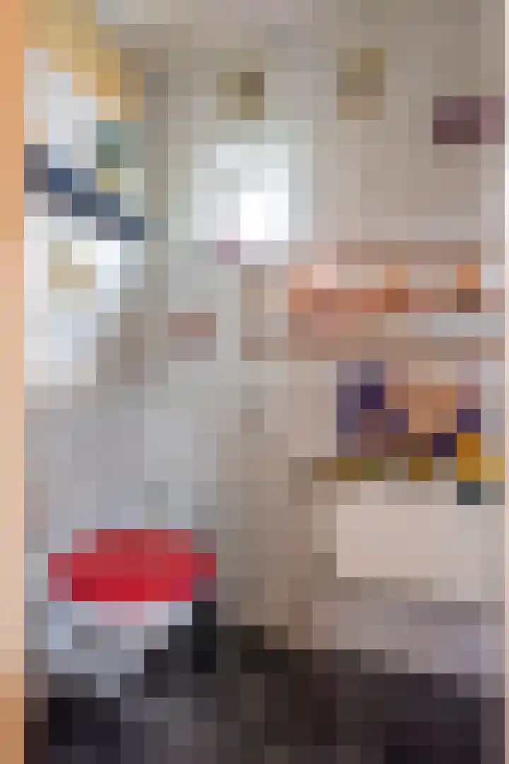Petroniusstraat 15 Heerlen thumbnail 10